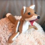 blog_import_5bf2494260f0b