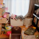 blog_import_5bf2494f263ce