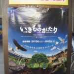 blog_import_5bf249799c7e6