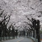 blog_import_5bf24980d9cb6