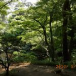 blog_import_5bf249a4e5f3b