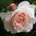 blog_import_5bf249b6f0c94