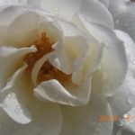 blog_import_5bf249ba69da8