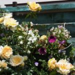 blog_import_5bf249bec620e