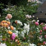 blog_import_5bf249c13d535