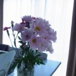 blog_import_5bf249daa206b