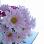 blog_import_5bf249dc87ebb