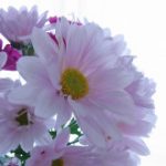 blog_import_5bf249de983a4