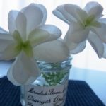 blog_import_5bf249e50343e