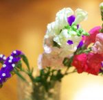 blog_import_5bf24b5c6f833