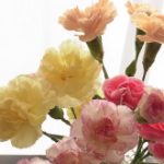 blog_import_5bf24b6429e20
