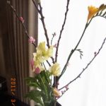 blog_import_5bf24c3f01eb7