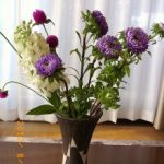 blog_import_5bf24d3641823