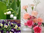 シンプログというものを始めてみました。