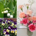 blog_import_5bf24e648e1d2