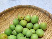 ♪梅ジュース作りに初挑戦♪