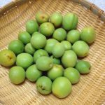 blog_import_5bf24e75a3f8f