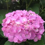 blog_import_5bf24e86883b0
