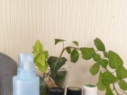 ♪夏にオススメのアロマはトイレ掃除にも♪