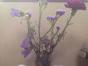 ♪見せ家事のススメ(^o^)♪