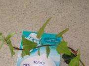 素晴らしい!と思った引っ越し挨拶の品