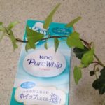 blog_import_5bf24eaf0132f