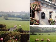 ♪写真整理後のお楽しみ♪