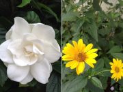 ♪お客様はどこに座ってもらう?♪