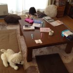 blog_import_5bf24ef927d44