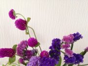 ♪秋風が吹いたので♪