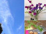 ♪屋号は暮ラシノユトリ舎です♪