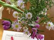 ♪お片づけメール講座もうすぐ発売♪