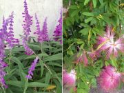 ♪家事のための地図はあった方がいい♪