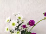 ♪強烈なお片づけのバロメーター♪