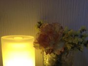 インフルエンザ予防に必須のモノ