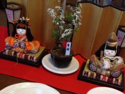 ♪おひなさまカフェを開きました♪