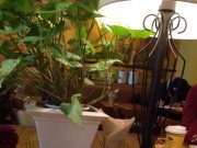 ♪気の重い作業のハードルを下げるには♪