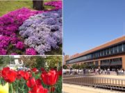 ♪GWだまされたと思って床片づけ15分♪