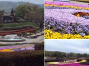 ♪更新が滞っている理由♪