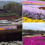 blog_import_5bf250634881c