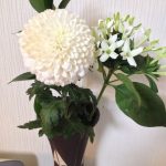 blog_import_5bf2508f142a6