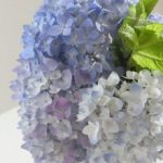 blog_import_5bf2509977095