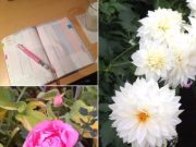 ♪今日からジブン手帳始動しました♪