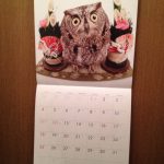 blog_import_5bf251872c6f0