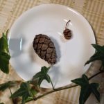 blog_import_5bf2518f1d12b