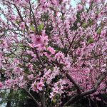 blog_import_5bf25217742e5