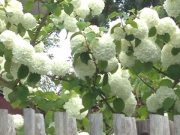 メルマガは明日の朝に配信スタートです