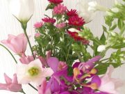 【新メニュー】ももも申し訳ありません!