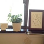 blog_import_5bf25340667ff
