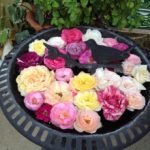 blog_import_5bf2538a5cadc
